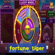 fortune tiger horarios pagantes